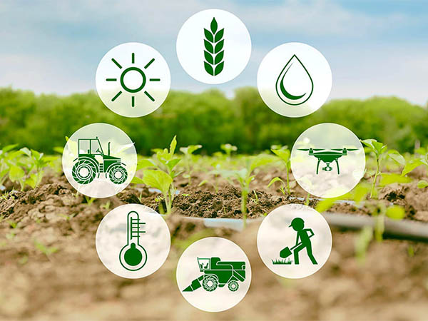 Desenvolvimento de Projetos Agrícolas AL Engenharia Manaus Amazonas